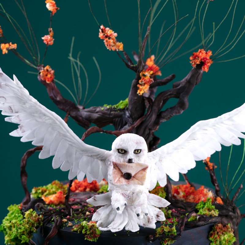 gh64bayy90xpa1zx0up6sjqz7tpwqex5