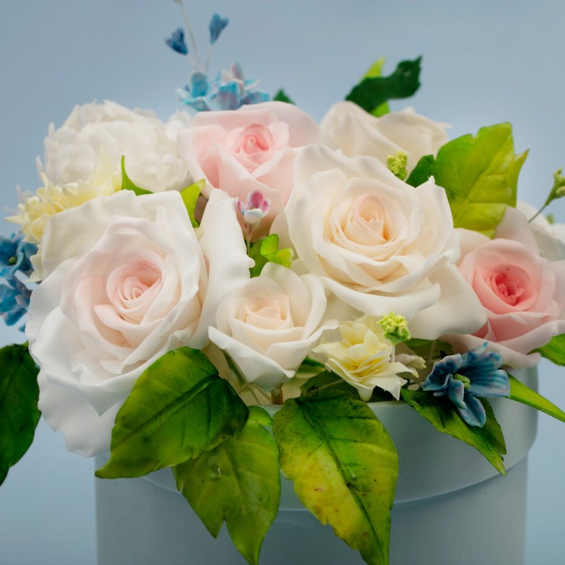 o0zk22tlgcrn9gzvzgucyc125ipsgdjy