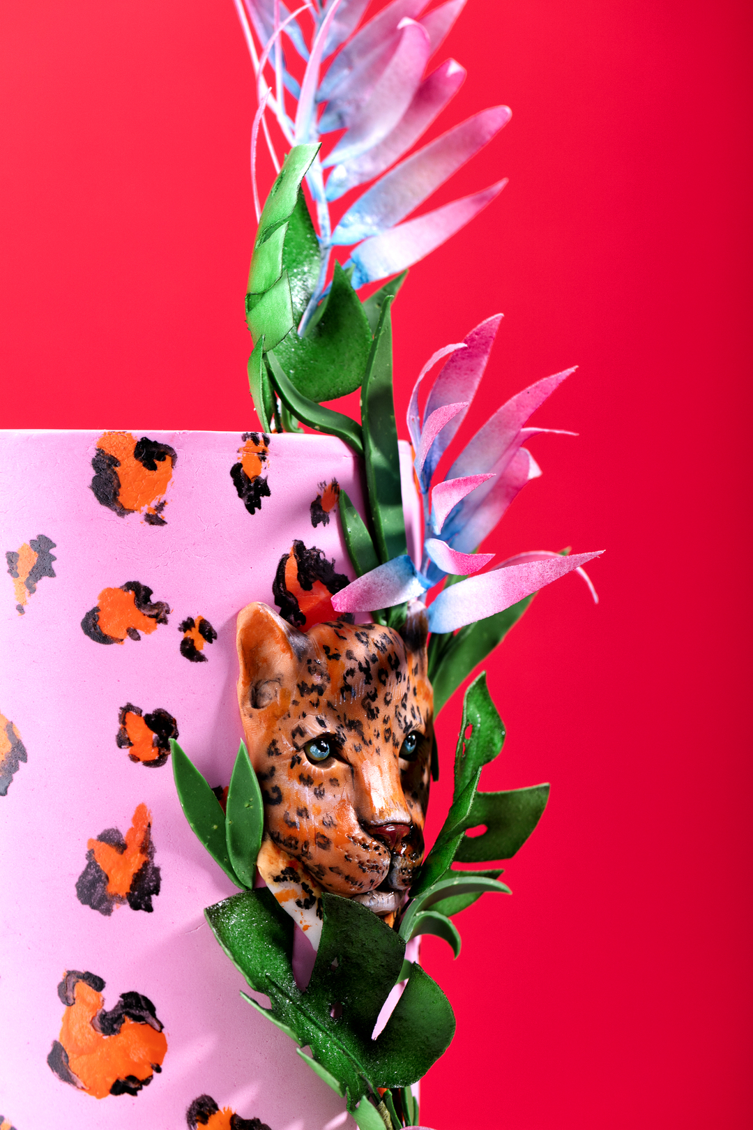 3kwja2vp7k7robc3oln8wj5pi1l84r73