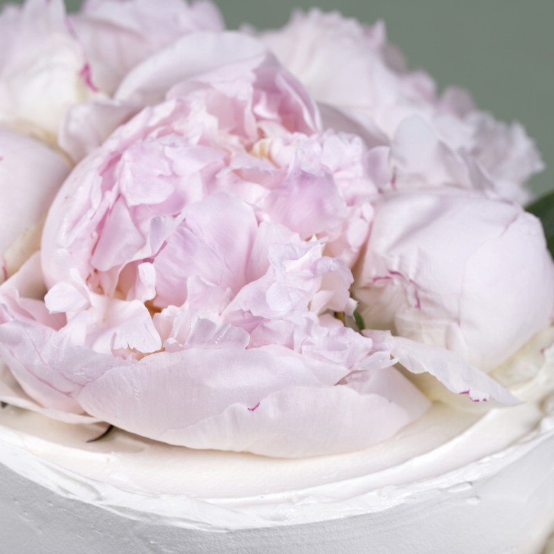 jd6t9lgzeropnu37juxm2gdzo9bktl0g