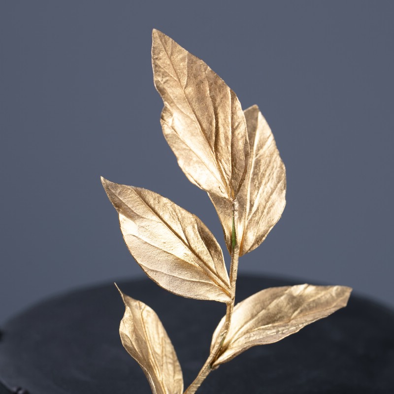 3m0x4z50to1540s178va0298p2rklax6