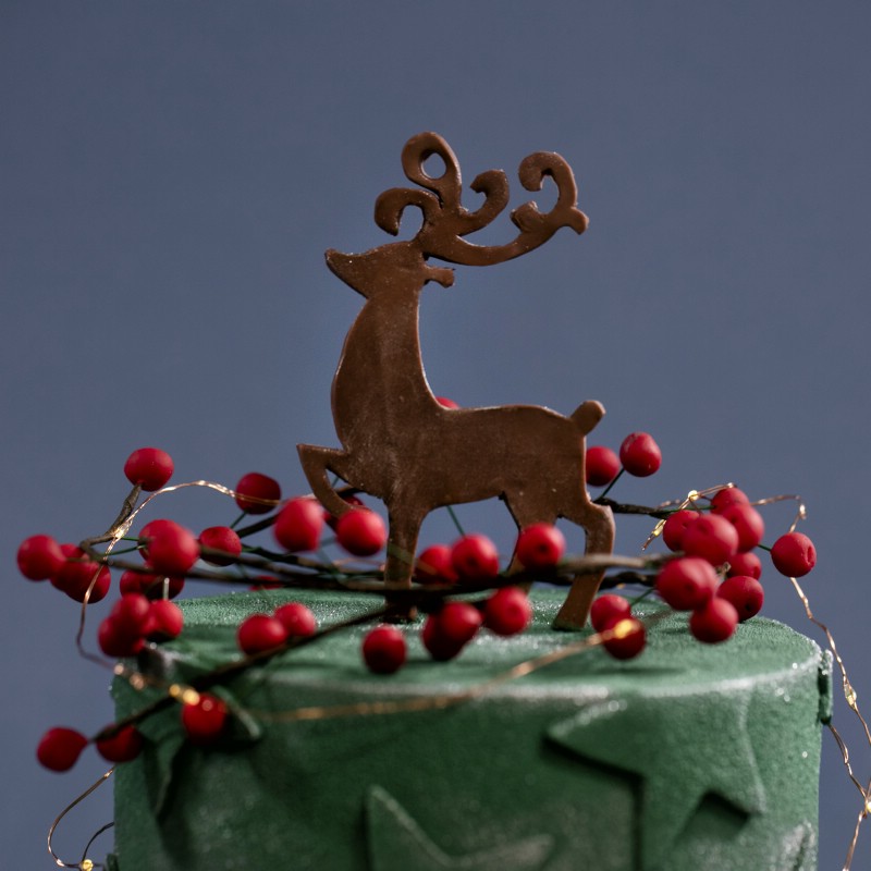 o8aems2mll68gu2le7lcqvylhwce0w3p