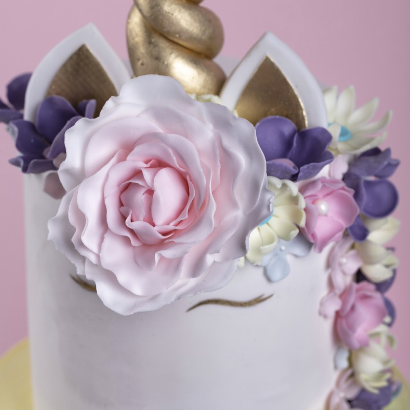 z1xrkeapos8cw9edq7lotp2o2ppl1b7m